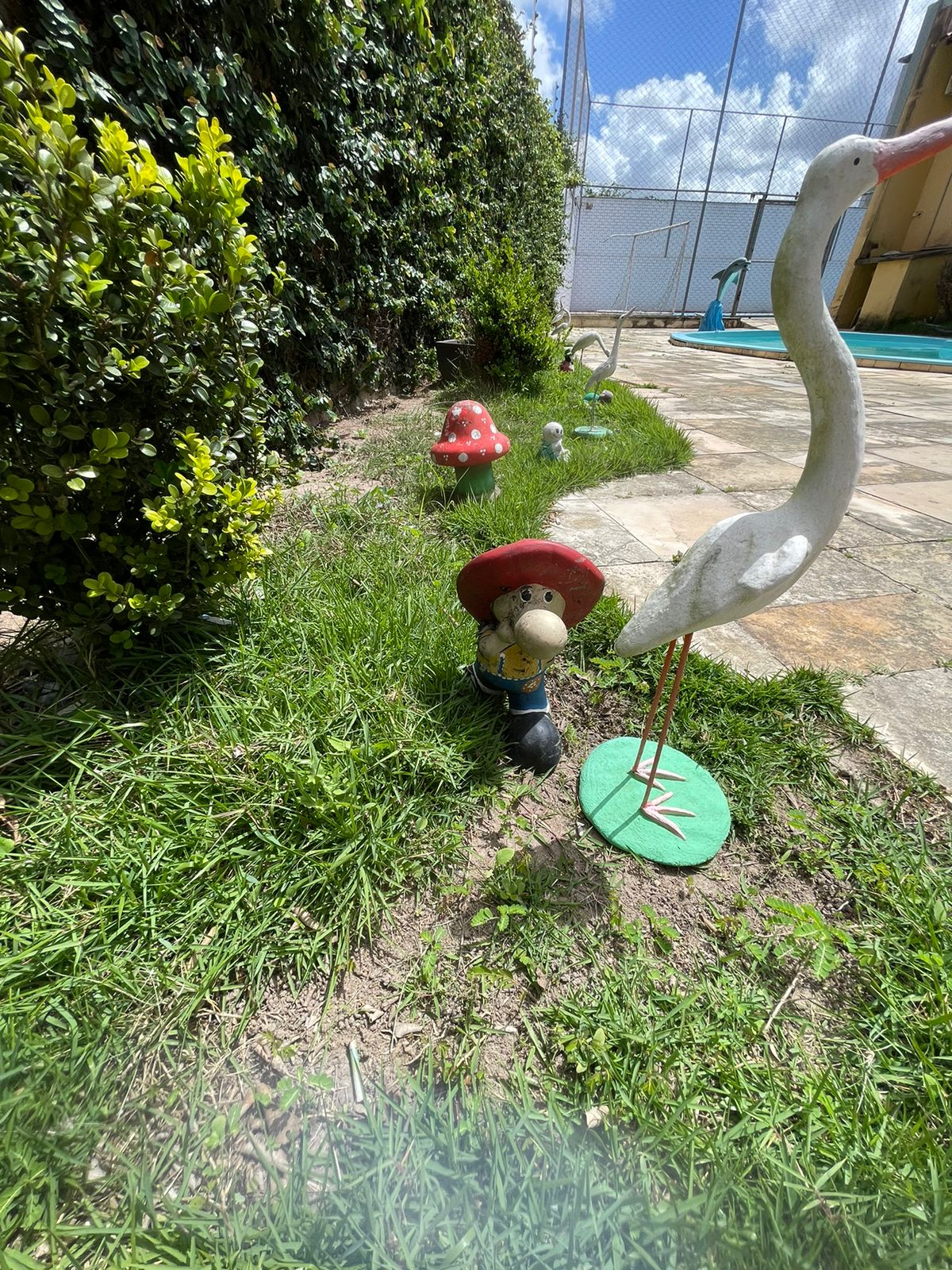 PROJETO-FENIX-PHOTPS (6)